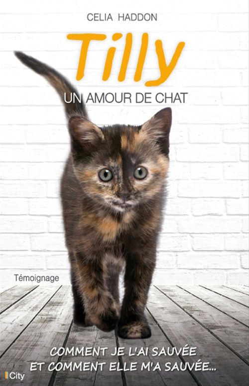 ebook cover of Tilly, un amour de chat, by Célia Haddon