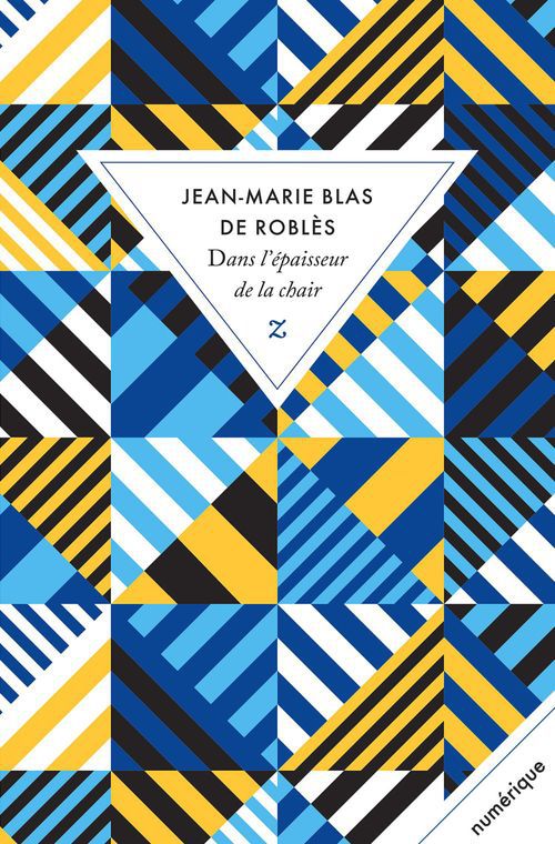 Couverture ebook de Dans l'épaisseur de la chair, de Jean-Marie Blas de Roblès