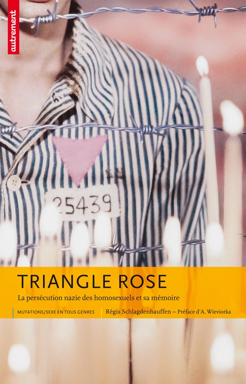 Couverture ebook de Triangle rose, de Régis Schlagdenhauffen