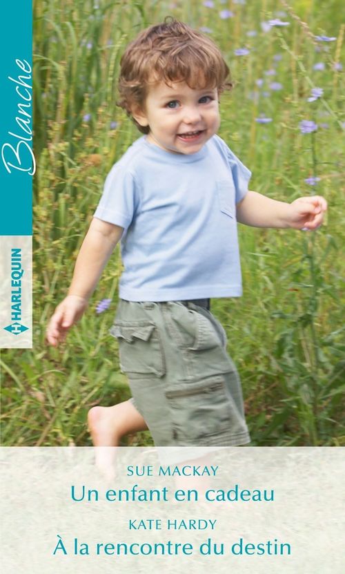 ebook cover of Un enfant en cadeau - À la rencontre du destin, by Kate Hardy, Sue MacKay