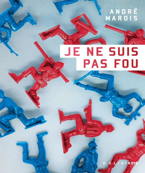 Couverture ebook de Je ne suis pas fou, de André Marois