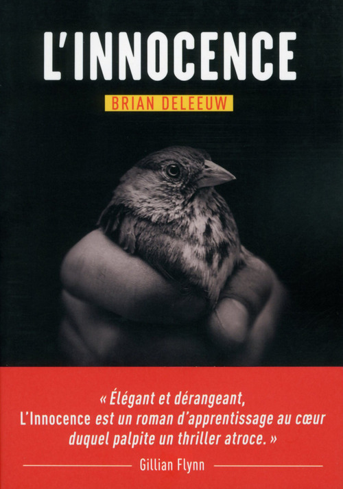 ebook cover of L'innocence, by Brian Deleeuw