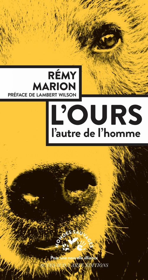 ebook cover of L'ours, by Rémy Marion