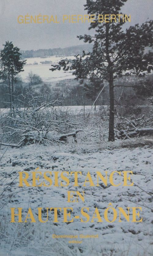 ebook cover of Résistance en Haute-Saône, by Pierre Bertin