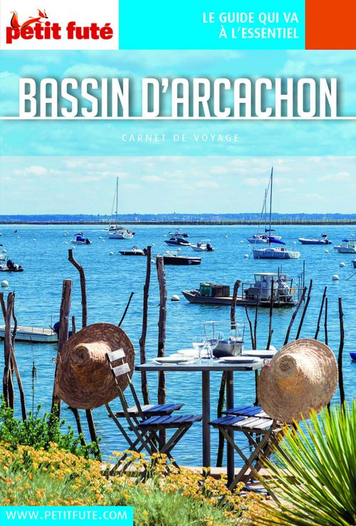 ebook cover of BASSIN D'ARCACHON 2018 Carnet Petit Futé, by Collectif petit futé