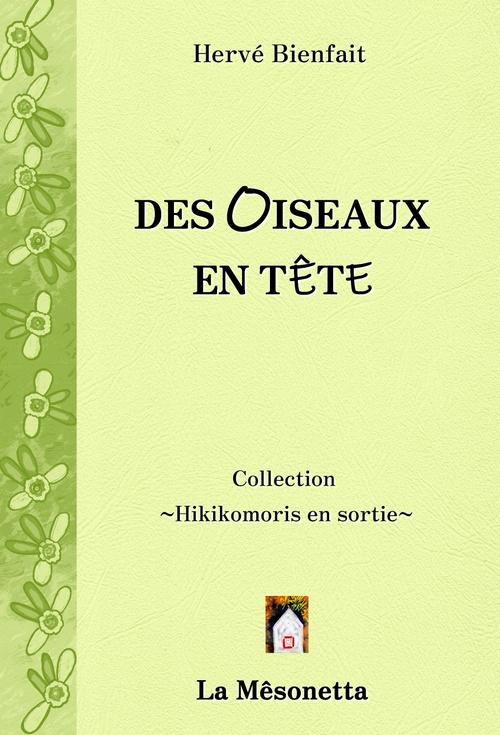 ebook cover of Des oiseaux en tête, by Hervé Bienfait