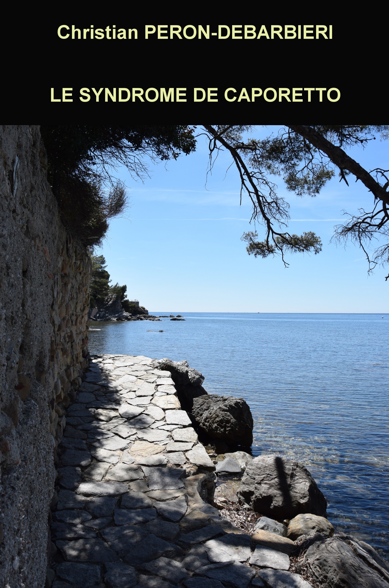 Couverture ebook de Le syndrome de Caporetto, de Agir Provenc Christian Peron-Debarbieri