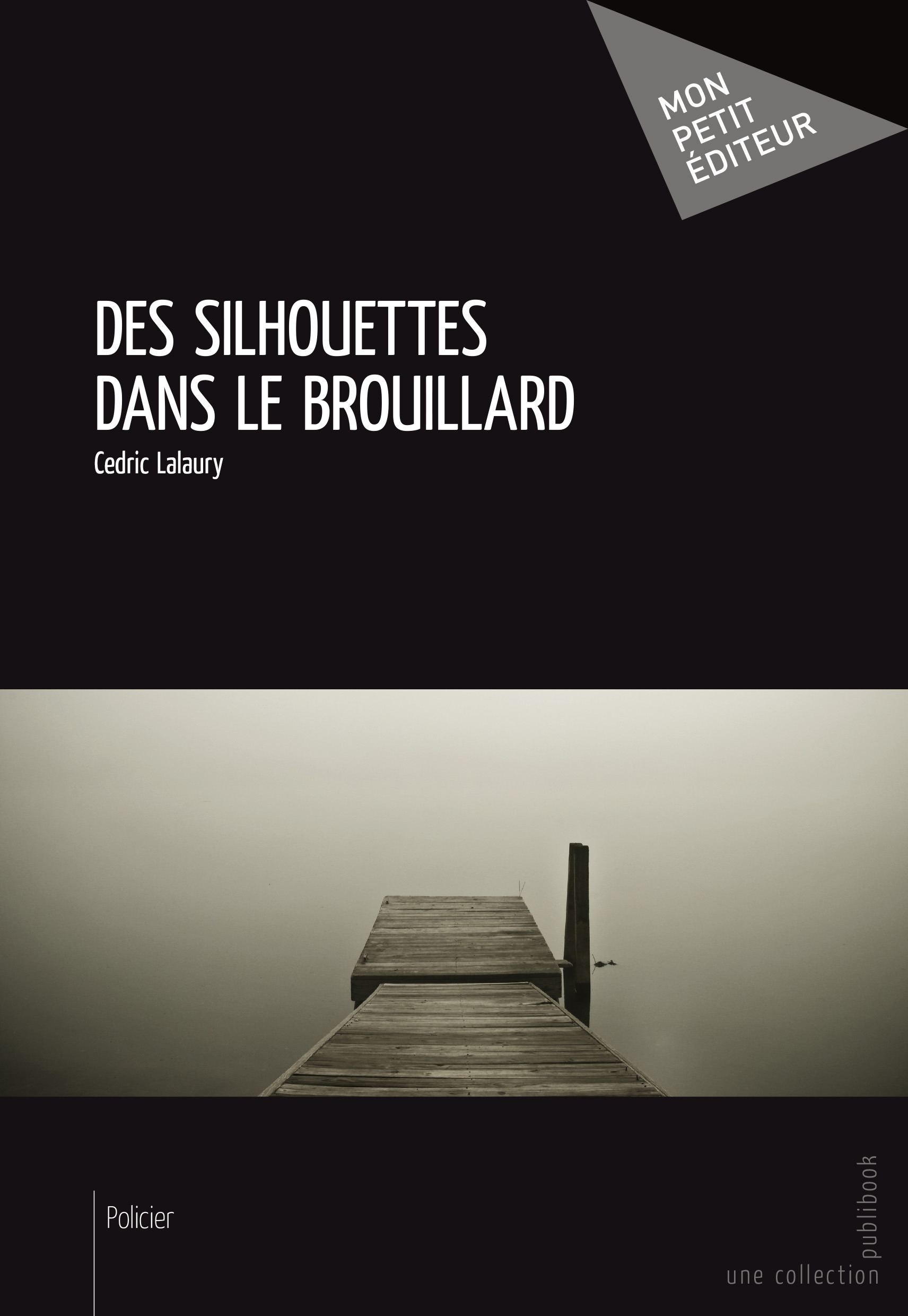 ebook cover of Des silhouettes dans le brouillard, by Cedric Lalaury