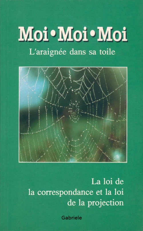 ebook cover of Moi moi moi, l'araignée dans sa toile, by Gabriele