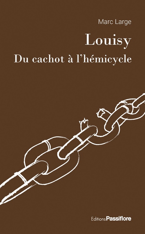ebook cover of Louisy, du cachot à l'hémicycle, by Marc Large