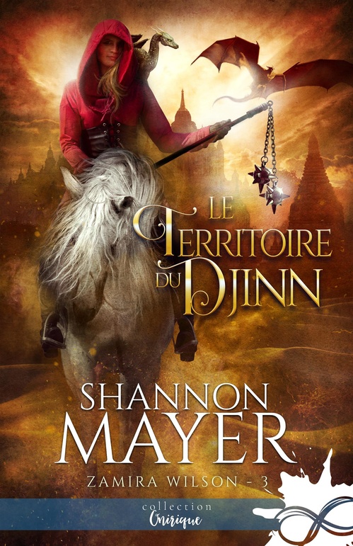 ebook cover of Le territoire du djinn, by Shannon Mayer