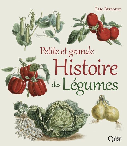 ebook cover of Petite et grande histoire des légumes, by Eric Birlouez