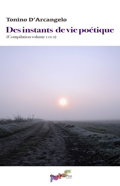 Couverture ebook de Des instants de vie poétique, de Tonino D'Arcangelo
