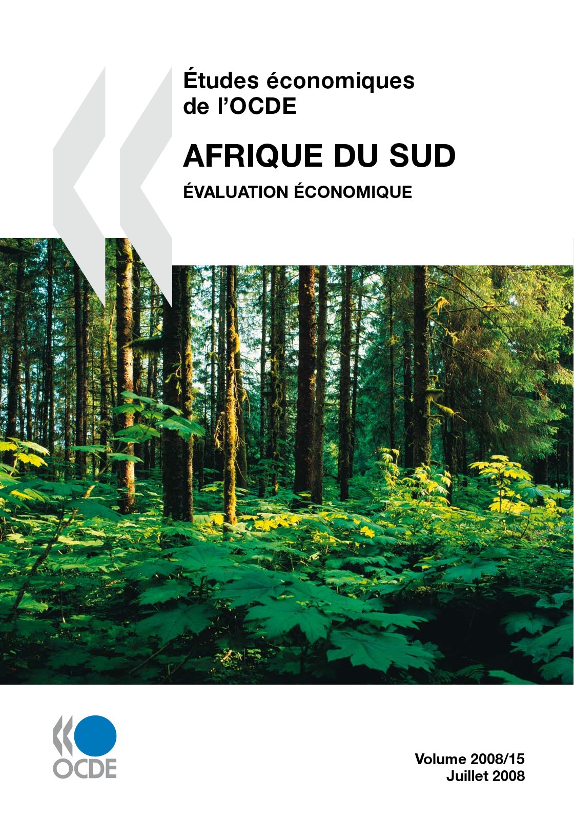 ebook cover of Études économiques de l'OCDE : Afrique du Sud 2008, by Collectif