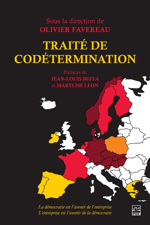 ebook cover of Traité de codétermination, by