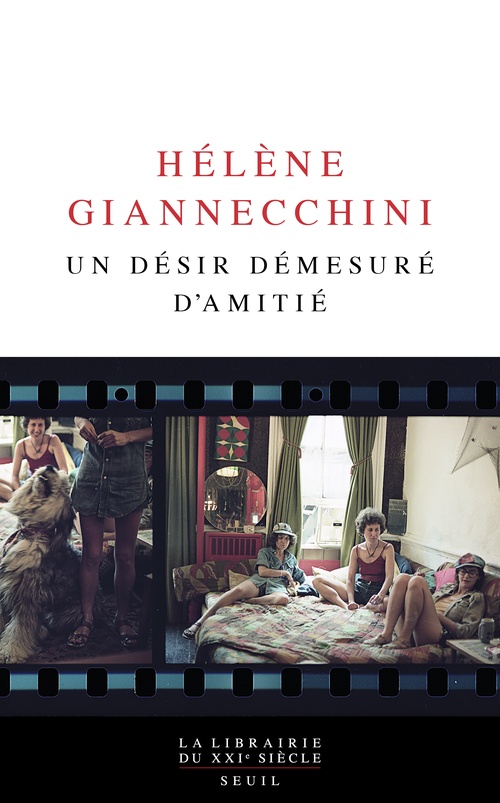 Couverture ebook de Un désir démesuré d'amitié, de Hélène Giannecchini