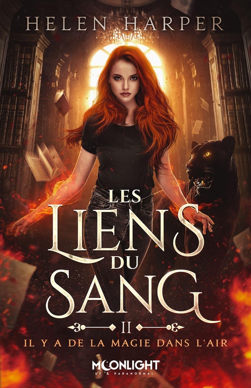 ebook cover of Il y a de la magie dans l'air, by Helen Harper