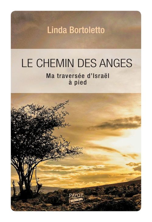 ebook cover of Le Chemin des anges, by Linda Bortoletto