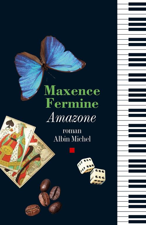 Couverture ebook de Amazone, de Maxence Fermine