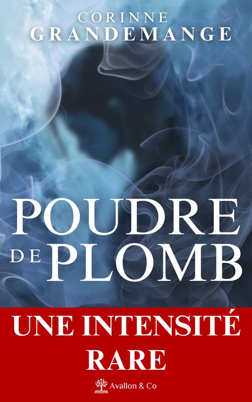ebook cover of Poudre de Plomb, by Corinne Grandemange