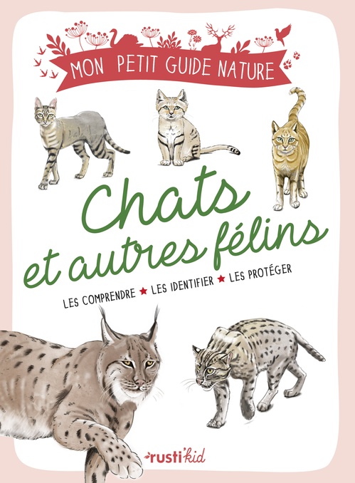 ebook cover of Chats et autres félins, by Xavier Japiot