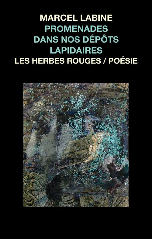 ebook cover of Promenades dans nos dépôts lapidaires, by Labine Marcel