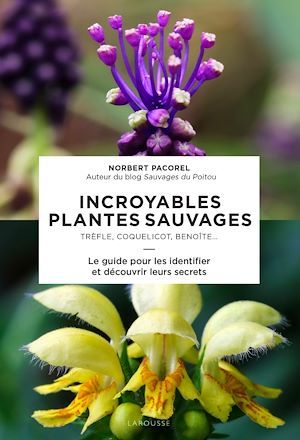 Couverture ebook de Incroyables plantes sauvages, de Norbert PACOREL