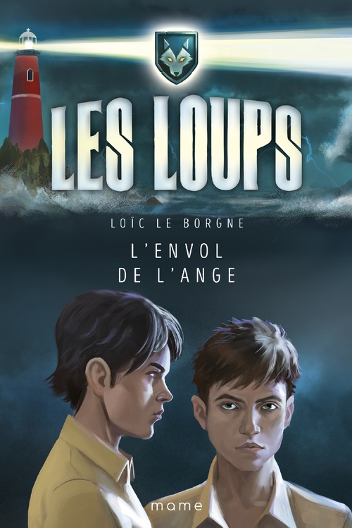 Couverture ebook de L'envol de l'ange, de Loïc Le Borgne