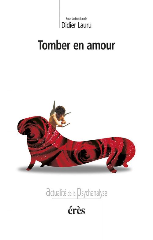 Couverture ebook de Tomber en amour, de Didier Lauru