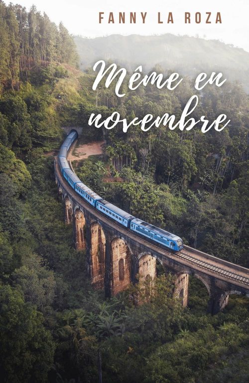 ebook cover of Même en novembre, by Fanny La Roza