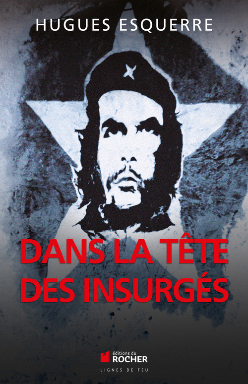 Couverture ebook de Dans la tête des insurgés, de Hugues Esquerre