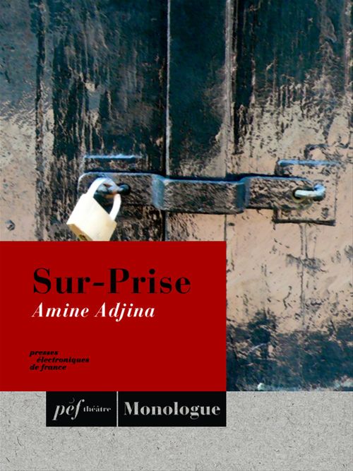 Couverture ebook de Sur-Prise, de Amine Adjina
