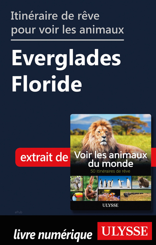 Couverture ebook de Itinéraire de rêve pour voir les animaux - Everglades Floride, de Ariane Arpin-Delorme