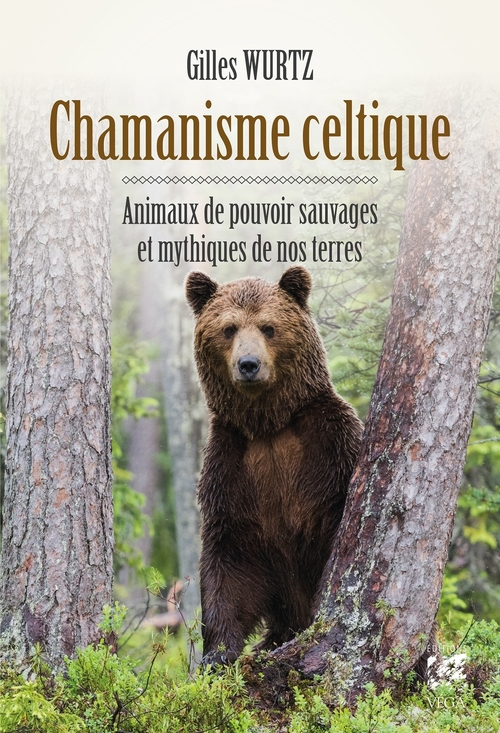 ebook cover of Chamanisme celtique - Animaux de pouvoir sauvages et mythiques de nos terres, by Gilles Wurtz