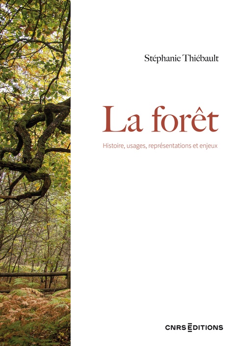 ebook cover of La forêt - Histoire, usages, représentations et enjeux, by Stéphanie Thiebault