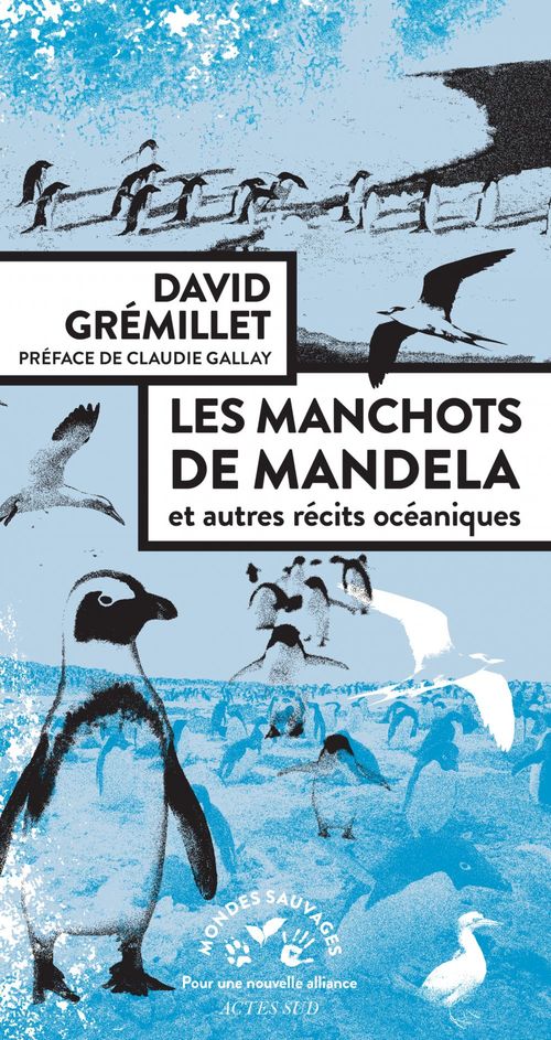 Couverture ebook de Les manchots de Mandela, de David Gremillet