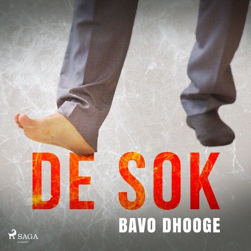 audiobook cover of De sok, by Bavo Dhooge