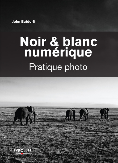Couverture ebook de Noir et blanc numérique, de John Batdorff