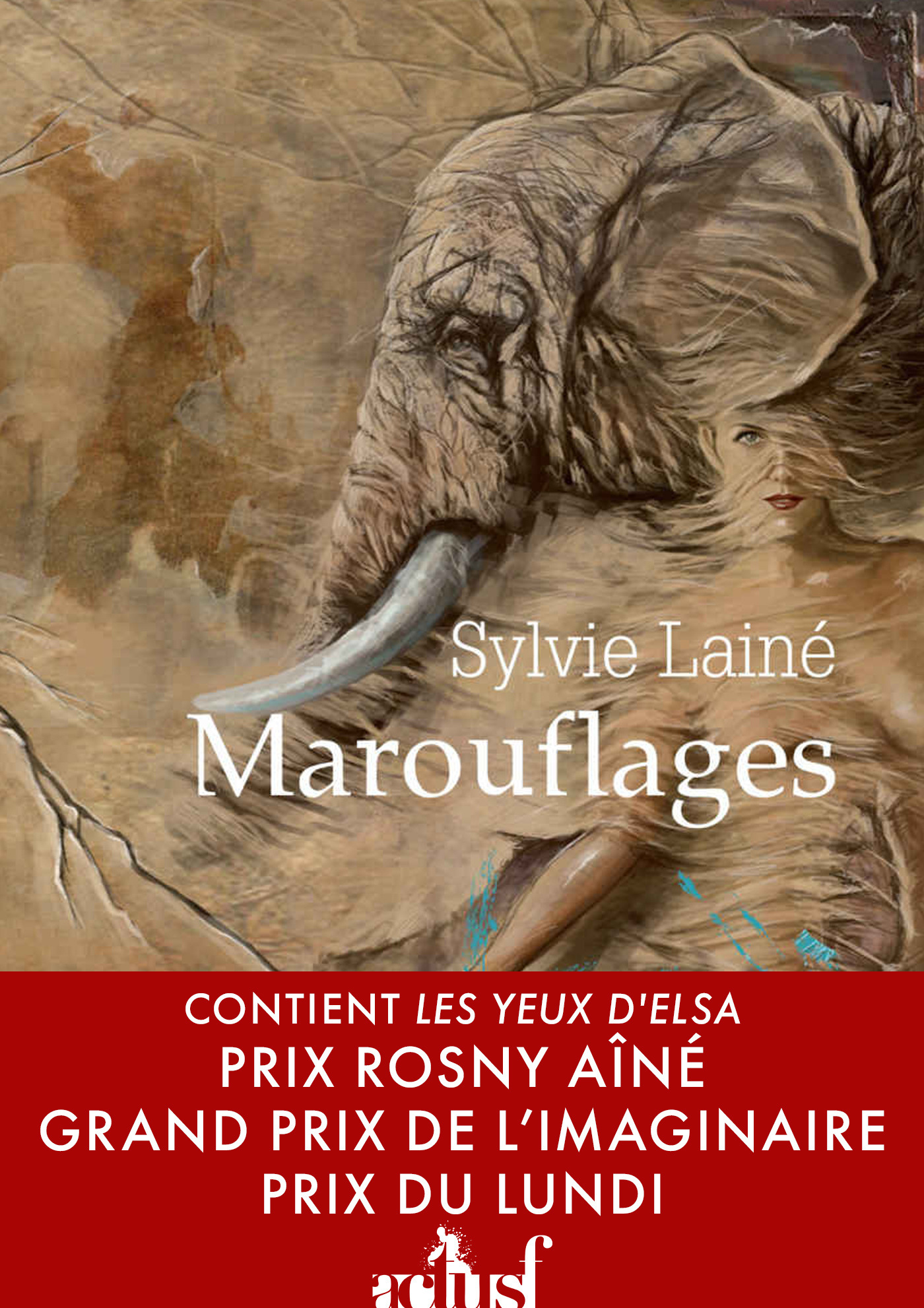 ebook cover of Marouflages, by Sylvie Lainé