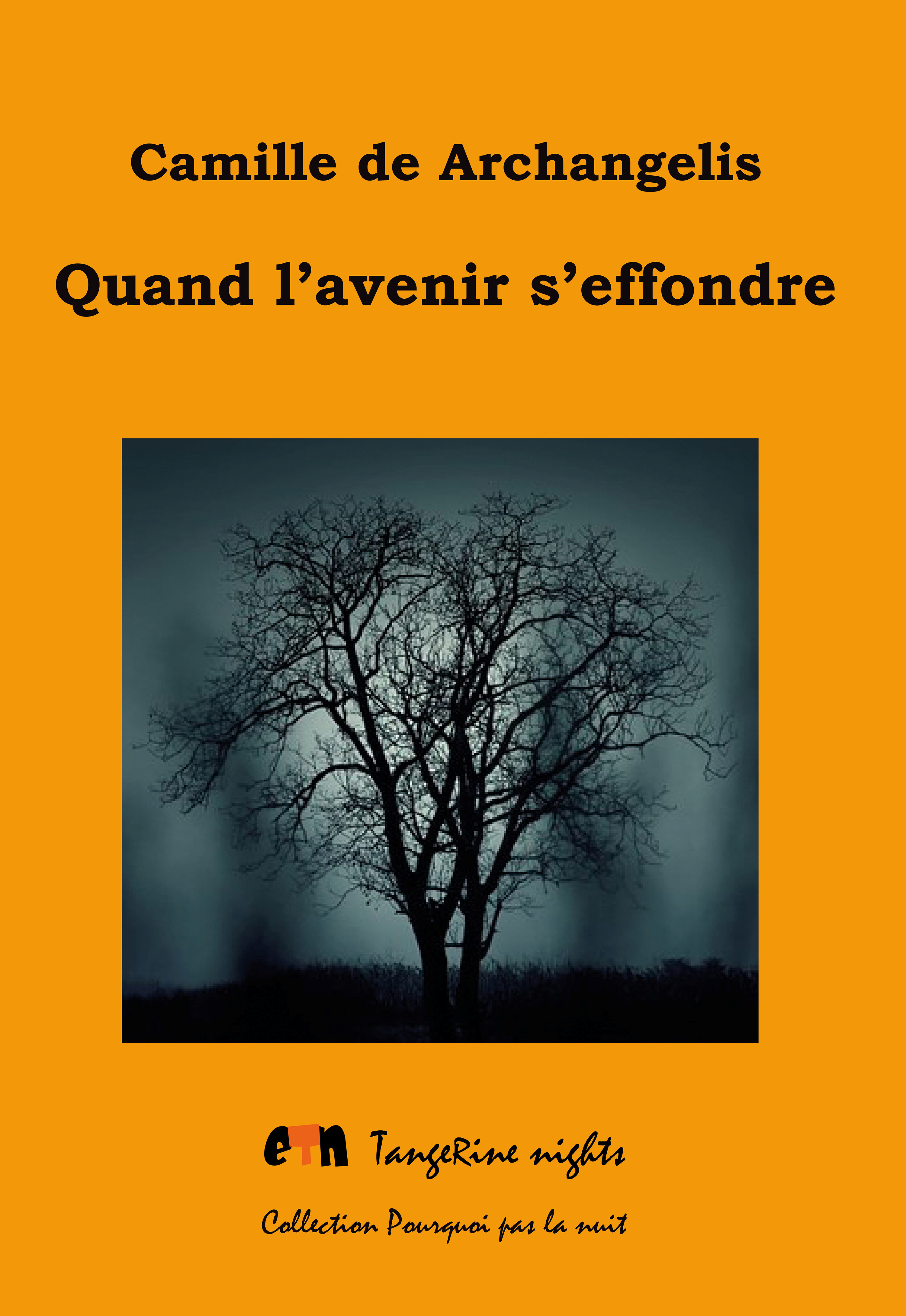 Couverture ebook de Quand l'avenir s'effondre, de Camille de Archangelis