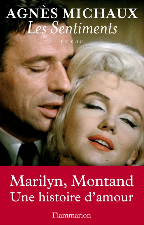 ebook cover of Les Sentiments, by Agnès Michaux