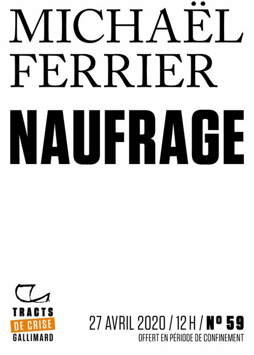 ebook cover of Tracts de Crise (N°59) - Naufrage, by Michael Ferrier