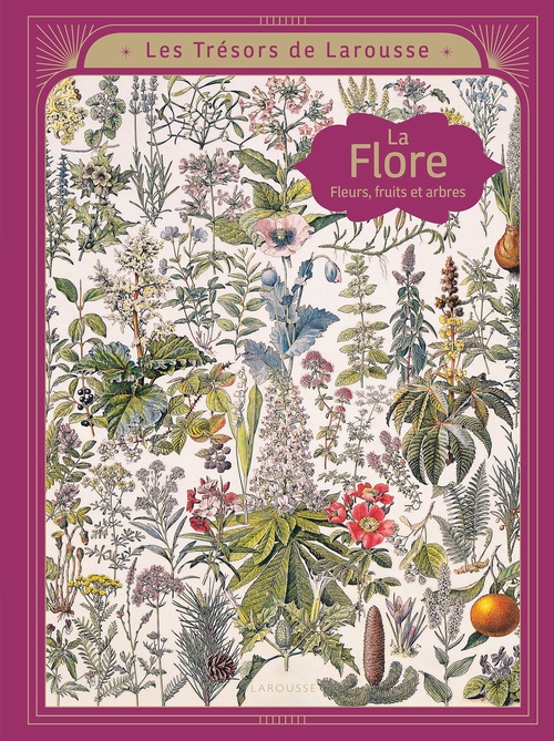 ebook cover of Les trésors Larousse - La Flore, by Emmanuelle Kecir Lepetit