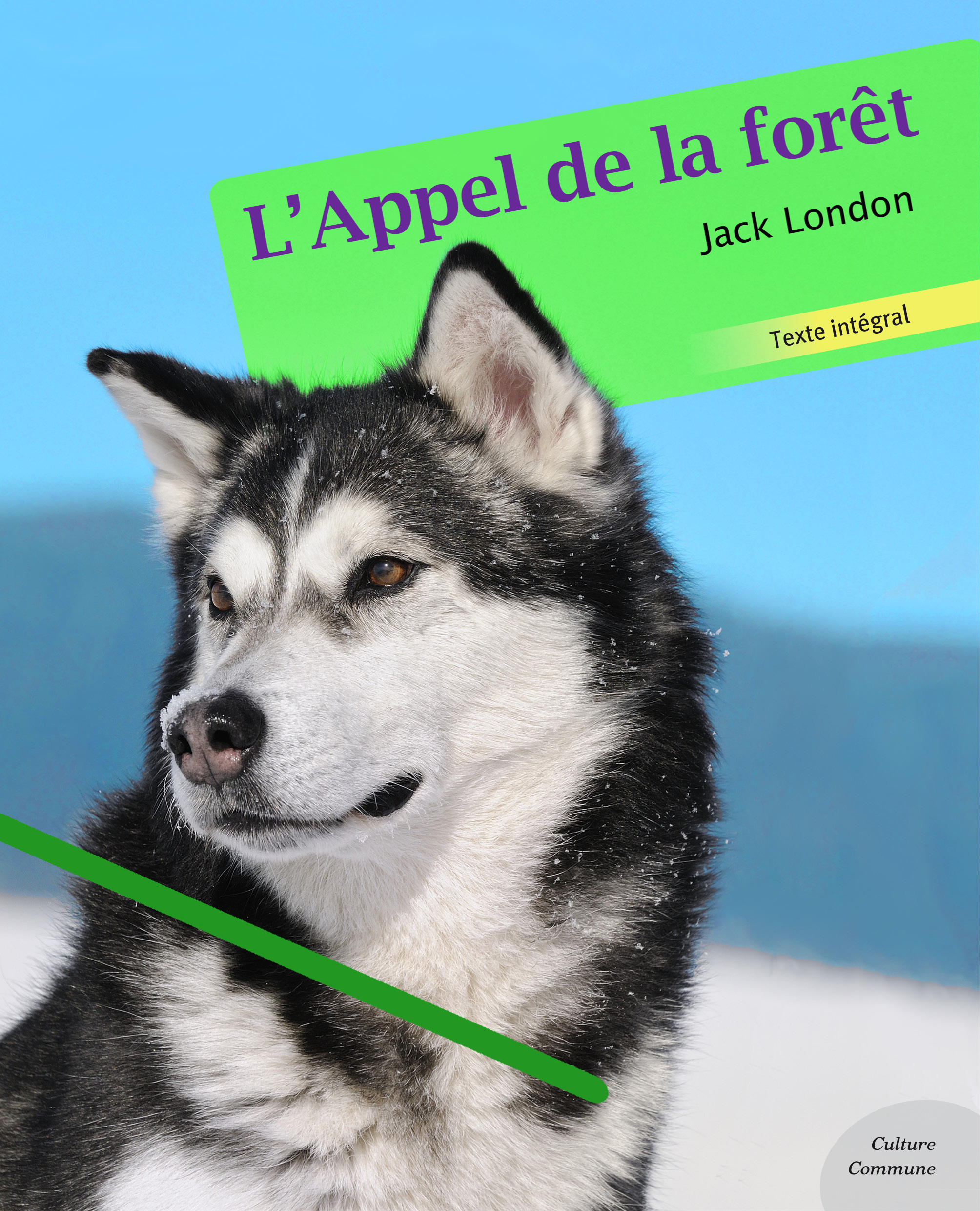 ebook cover of L'Appel de la forêt, by Jack London