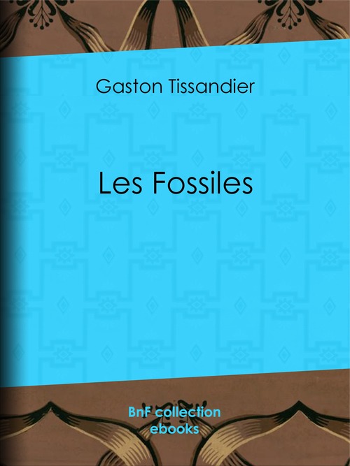 Couverture ebook de Les Fossiles, de Collectif, Gaston Tissandier