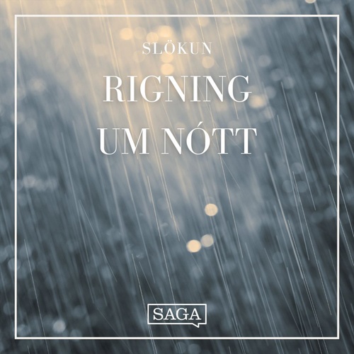 audiobook cover of Rigning um nótt - hljóð fyrir svefn og ró, by Rasmus Broe