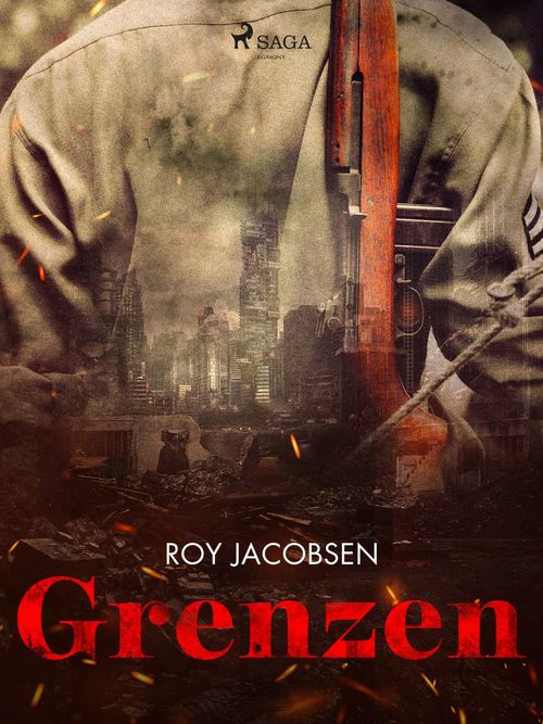Couverture ebook de Grenzen, de Roy Jacobsen