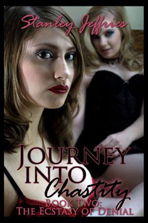 ebook cover of Journey Into Chastity, Book Two  The Ecstasy of Denial, by Stanley Jeffries