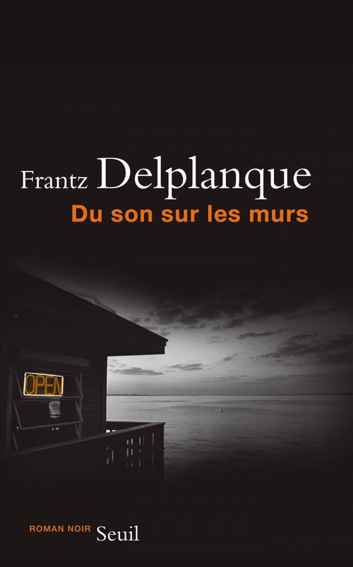 ebook cover of Du son sur les murs, by Frantz Delplanque