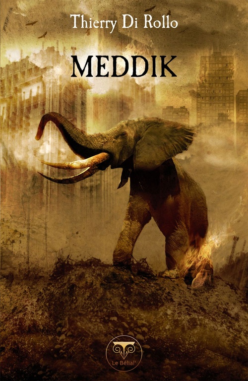 ebook cover of Meddik, by Thierry Di rollo